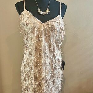 Lulu's Beige Sequin Fringe Dress